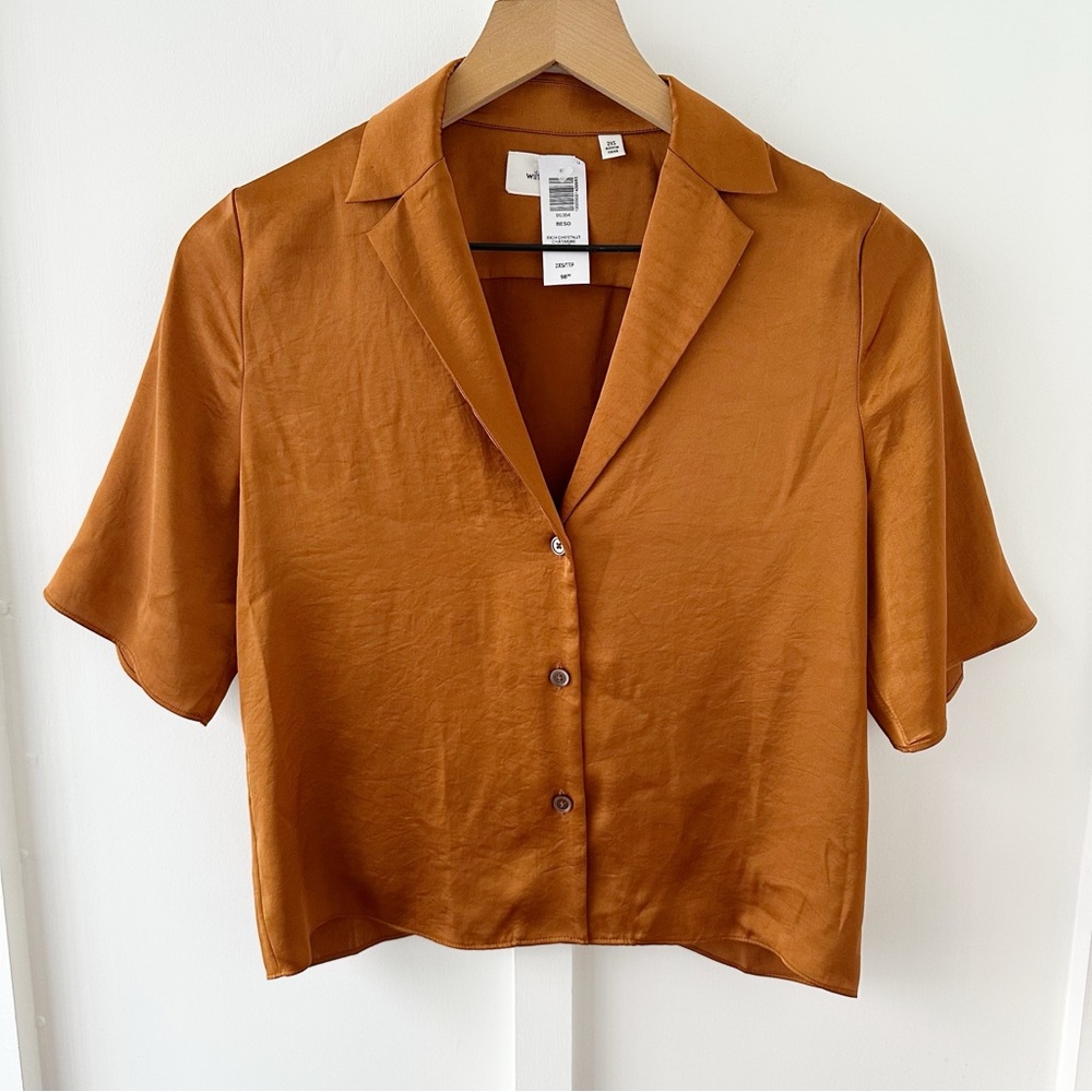 WILFRED brown Beso satin shirt